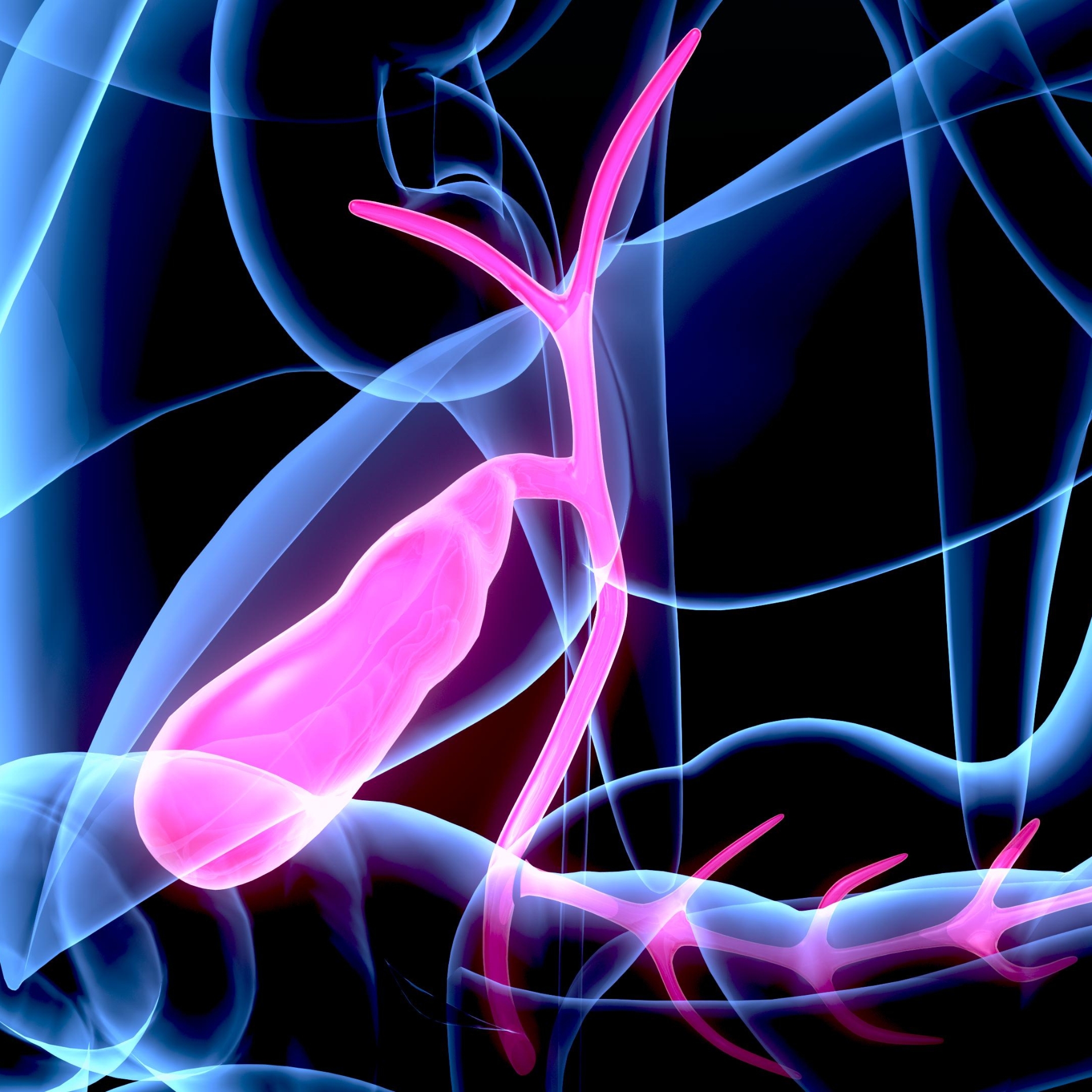 Gallbladder disorders